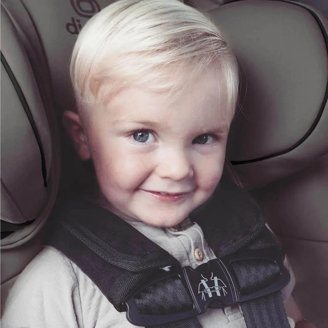 Diono Soft Wraps - Universal Harness Strap Covers