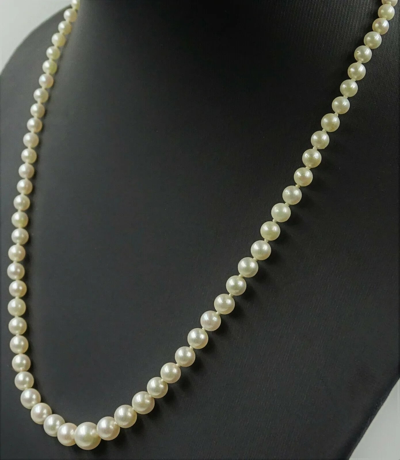 Gorgeous Strand of Graduating Pearls with 9ct White Gold Pearl & CZ Clasp