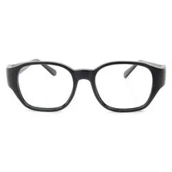 LAKE Black/Clear Glasses