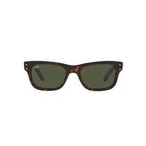 Ray Ban Polished Havana Sunglasses with Green Classic Lenses-RB_2283F_902/31_55mm