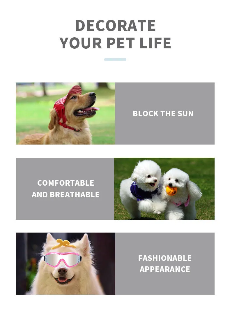 Ski Pet Dog Goggles