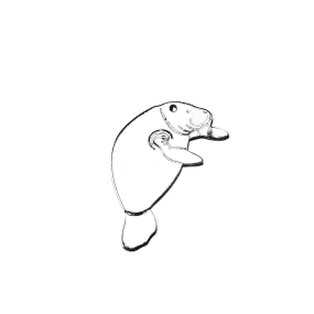 Stainless Steel Silver Large Manatee Pendant