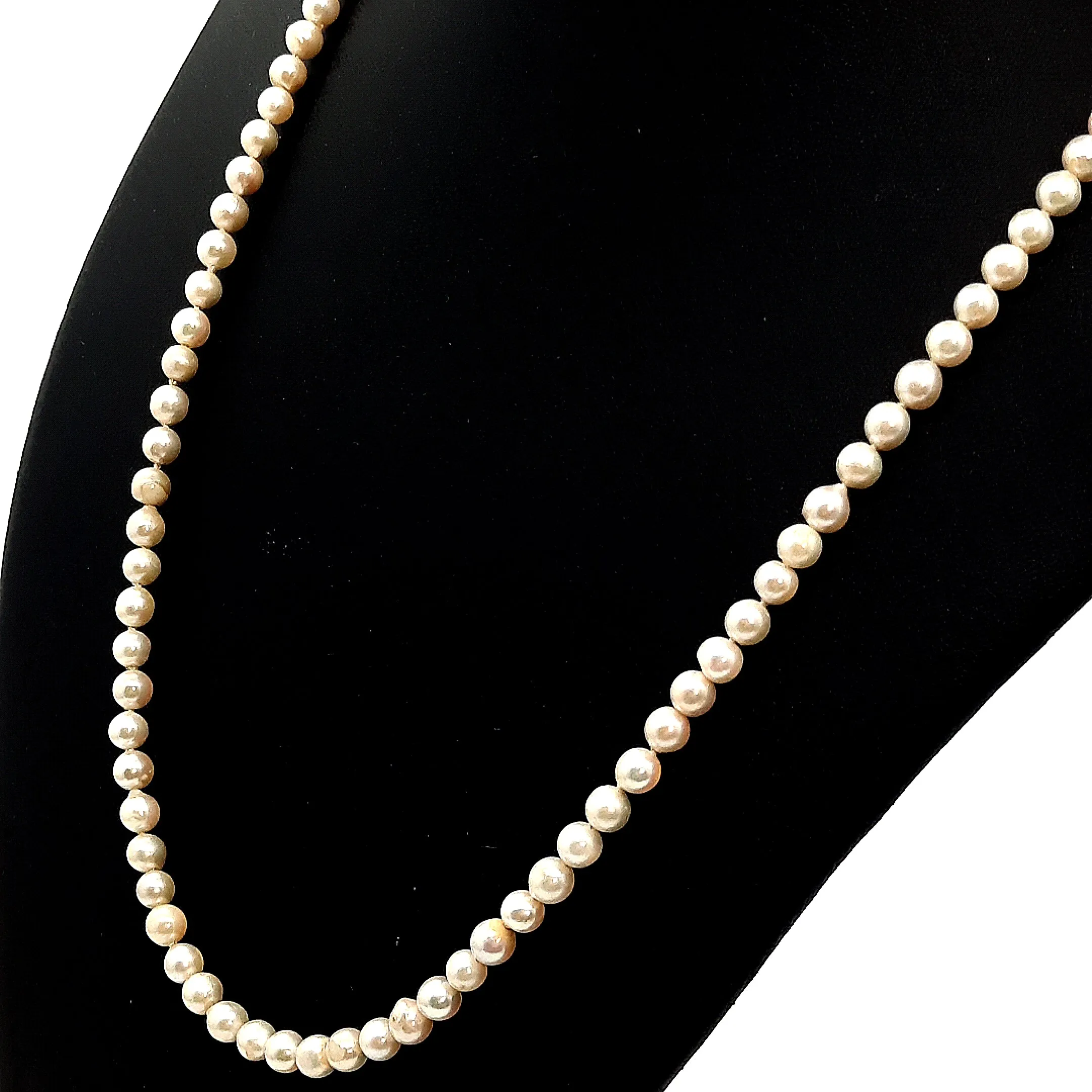Strand of 99 Cultured Pearls with a Yellow Gold Albert Swivel Clasp